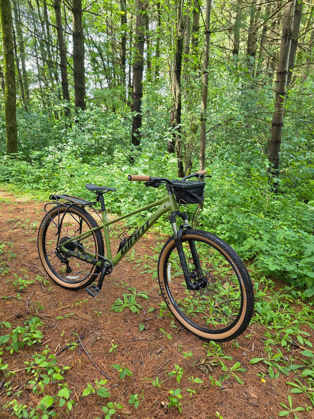 Customer photo review of The Handlebar Bag