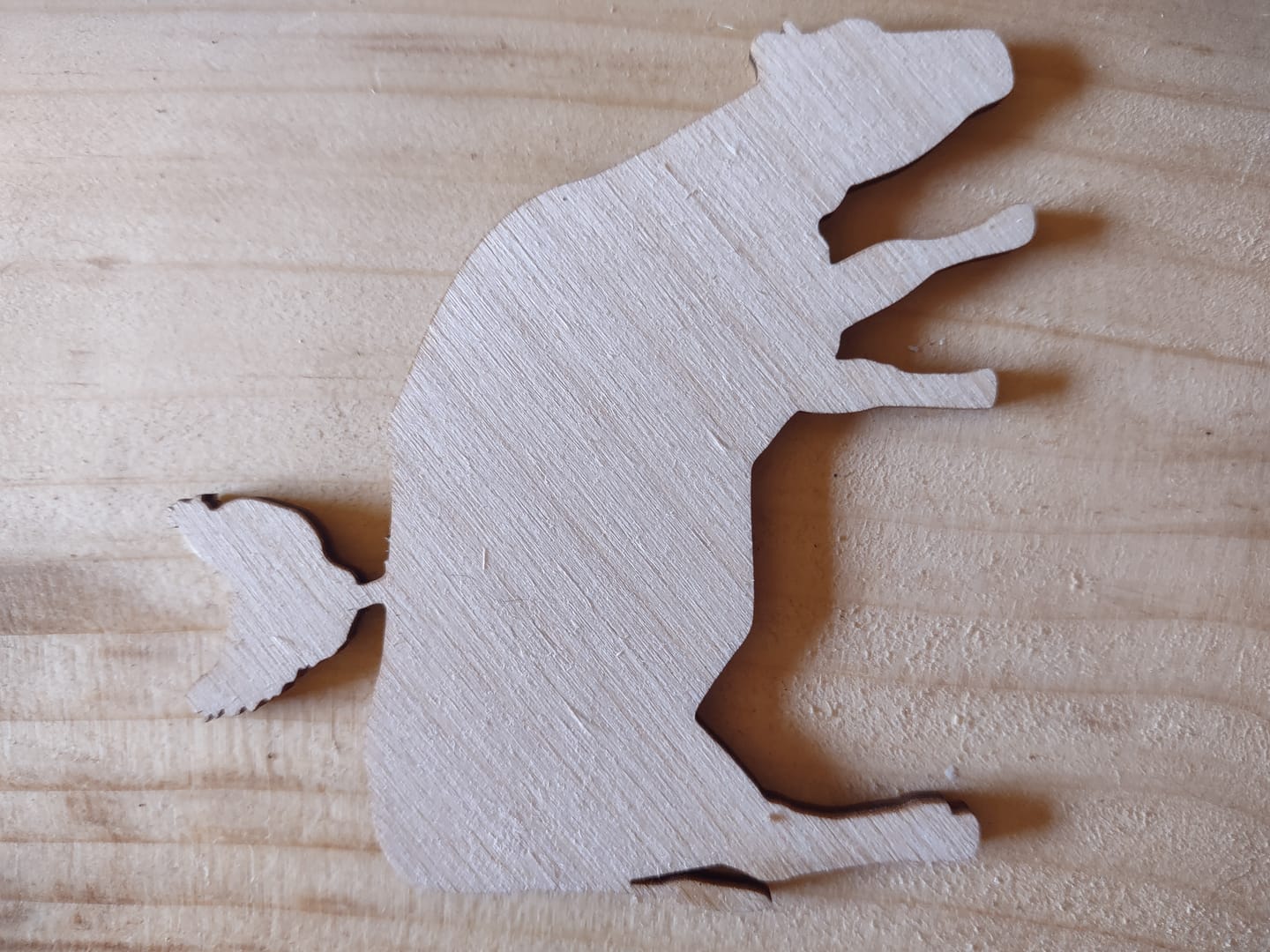 Customer photo review of Unfinished Wood Cow Chicken Shape - Craft - up to 46" DIY