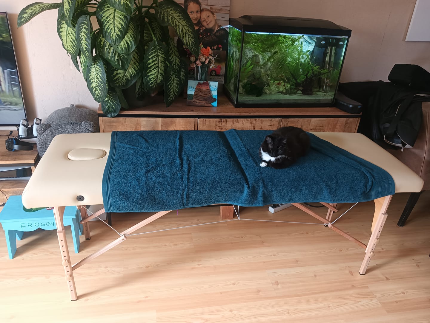 Customer photo review of Massageliege Klappbar Sofia Light | Kosmetikliege