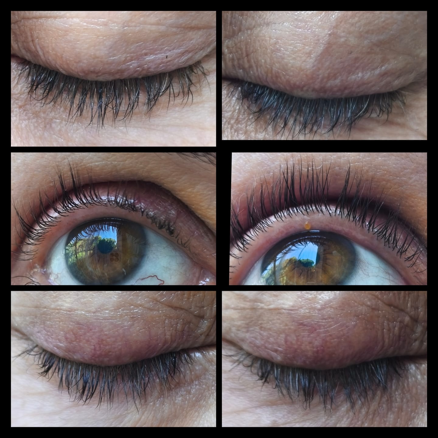 Customer photo review of Long Lashes FOREVER