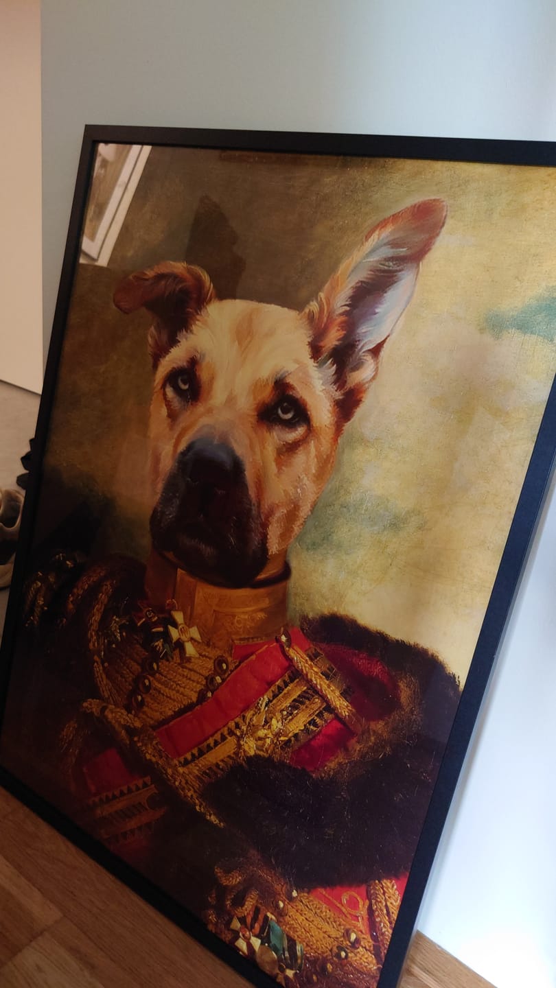 Customer photo review of BARON v. FLAUSCH