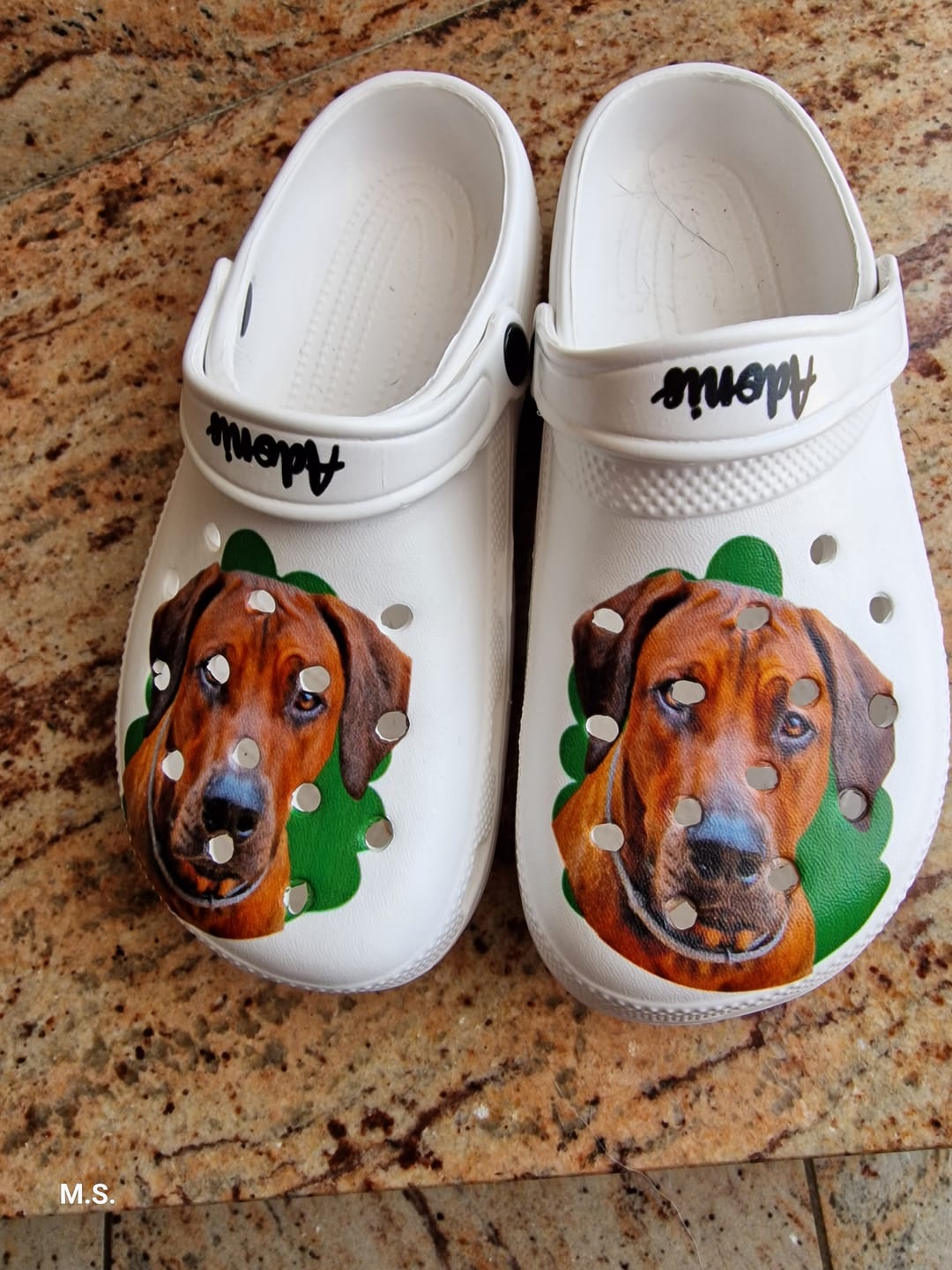 Customer photo review of Haustierportrait - Individuelle Clogs