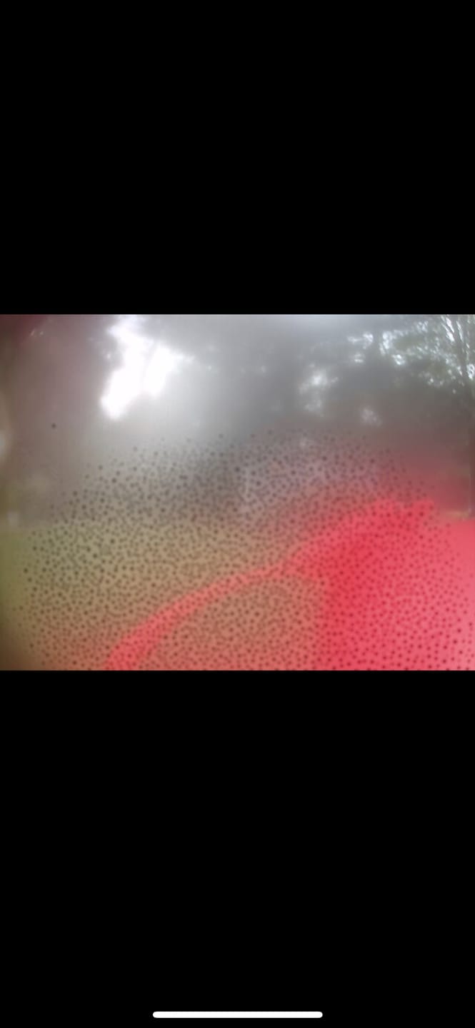 Customer photo review of Birdfy Hum Feeder Duo - Hummingbird Feeder with Dual Camera
