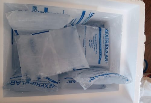 Customer photo review of Prolia 60mg inyectable (Denosumab)