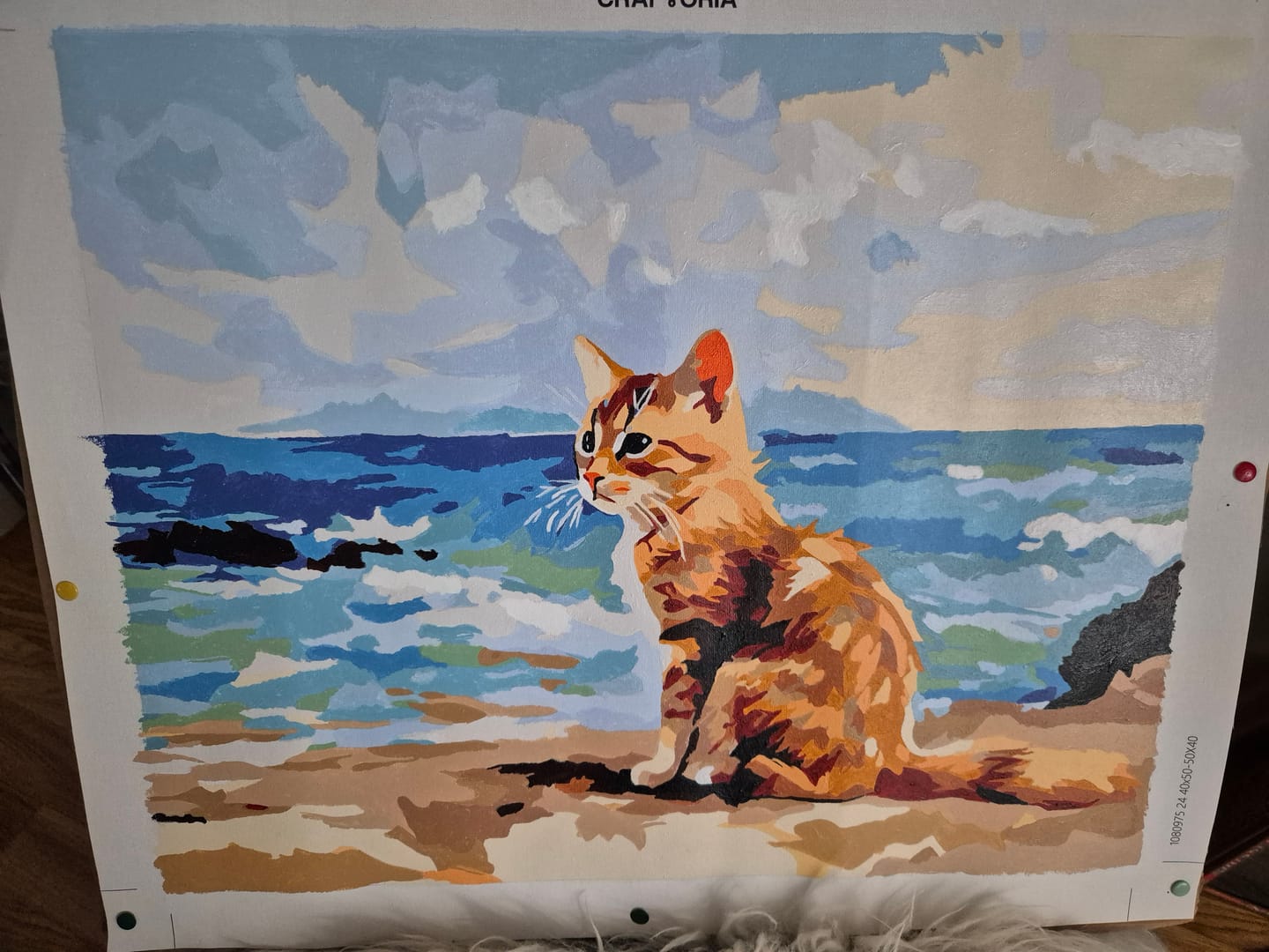 Customer photo review of Beach Kitten