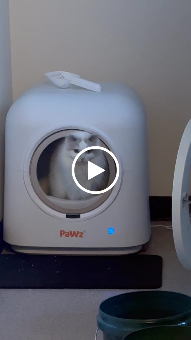Customer video review of PaWz AutoClean Pro Automatic Self Cleaning Cat Litter Box