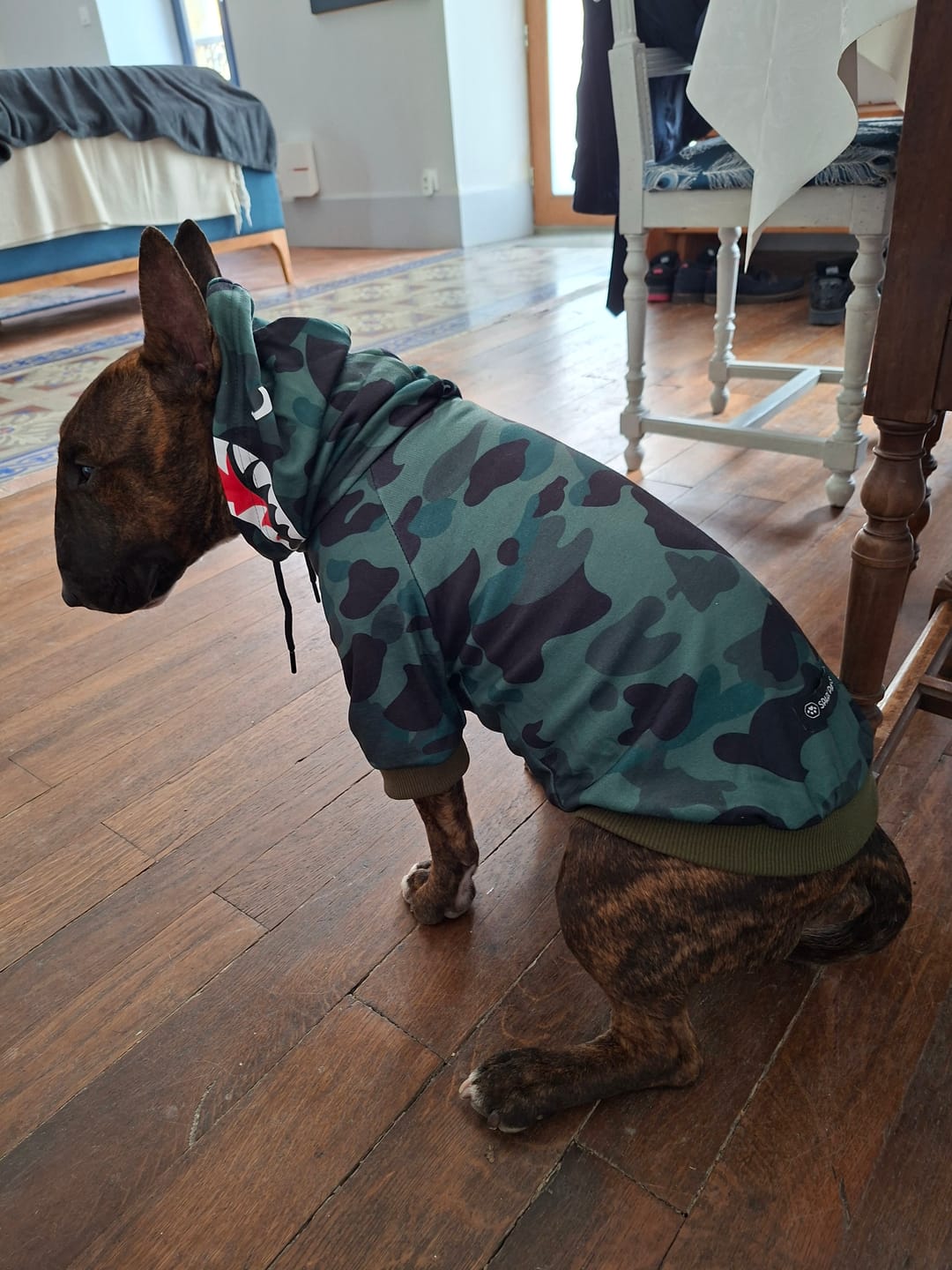 Customer photo review of Shark Monster Dog Hoodie - Green Camo