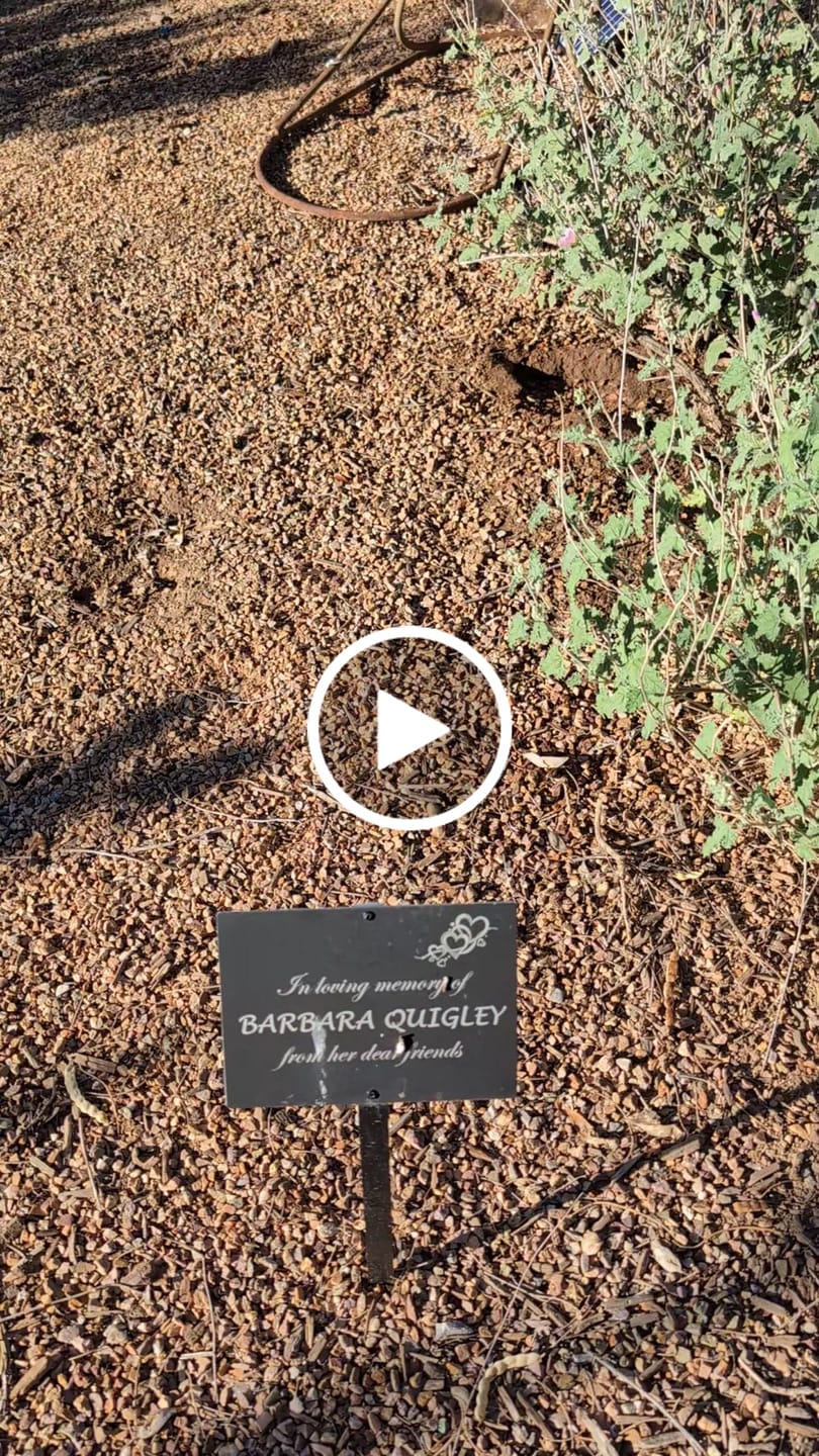 Customer video review of Solar Bubbler Hanging Bird Bath- 2 Colors