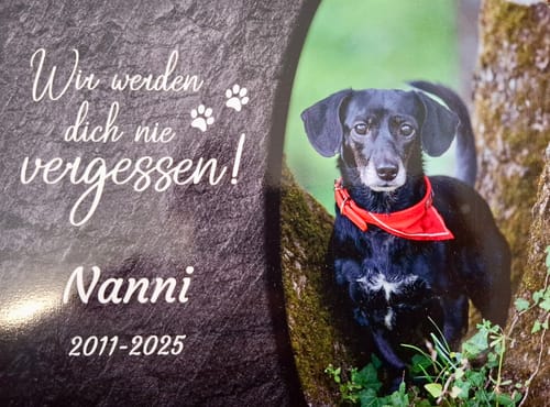 Customer photo review of Hunde Gedenktafel mit Foto & Spruch (UV- &  Wetterfest)