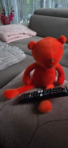 Customer photo review of JERMAINE, l’OURSON - PETIT