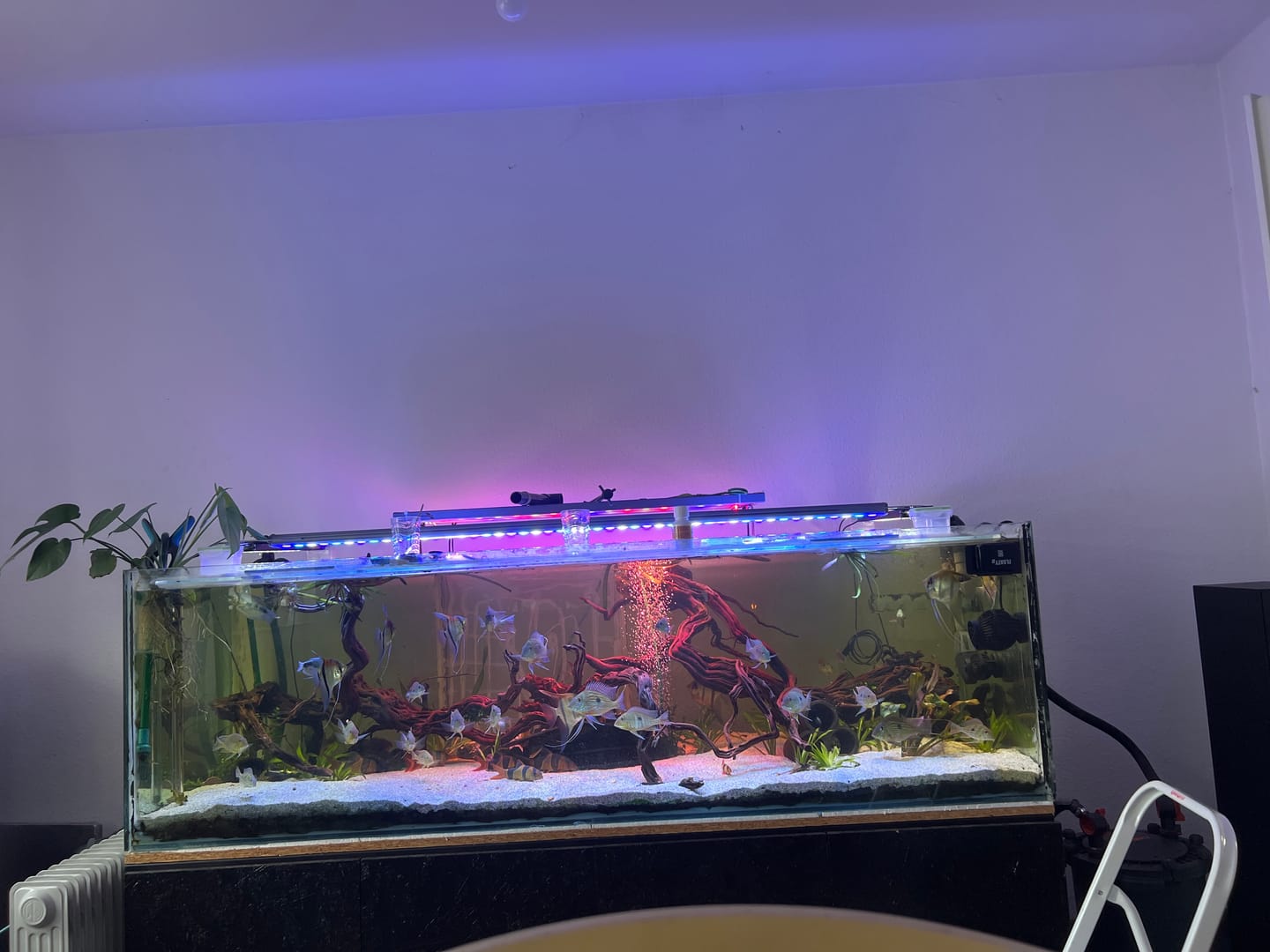 Customer photo review of Single-Reeflight LED 1500 mm (Blau)
