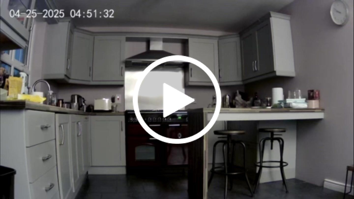 Customer video review of Rechargeable Anti Bark Training Collar - Sound & Vibration - No Shock