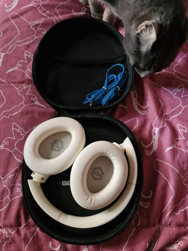 Customer photo review of Pulse ANC 1Gen