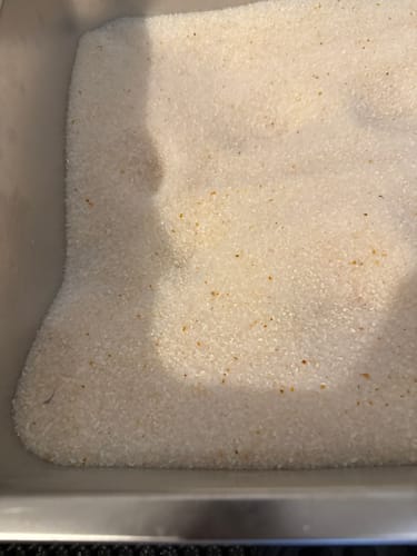 Customer photo review of 3 Month Supply - 3 Cat