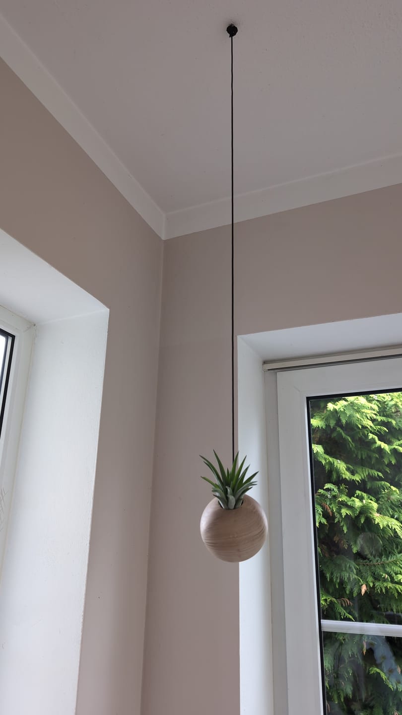 Customer photo review of Tilly Xylo Globus