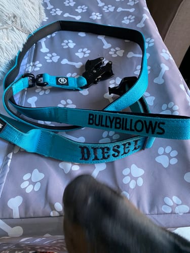 Tracey E. review of 1.4m Swivel Combat Lead | Anti-Tangle & Secure Clip - Light Blue image 1 out of 1