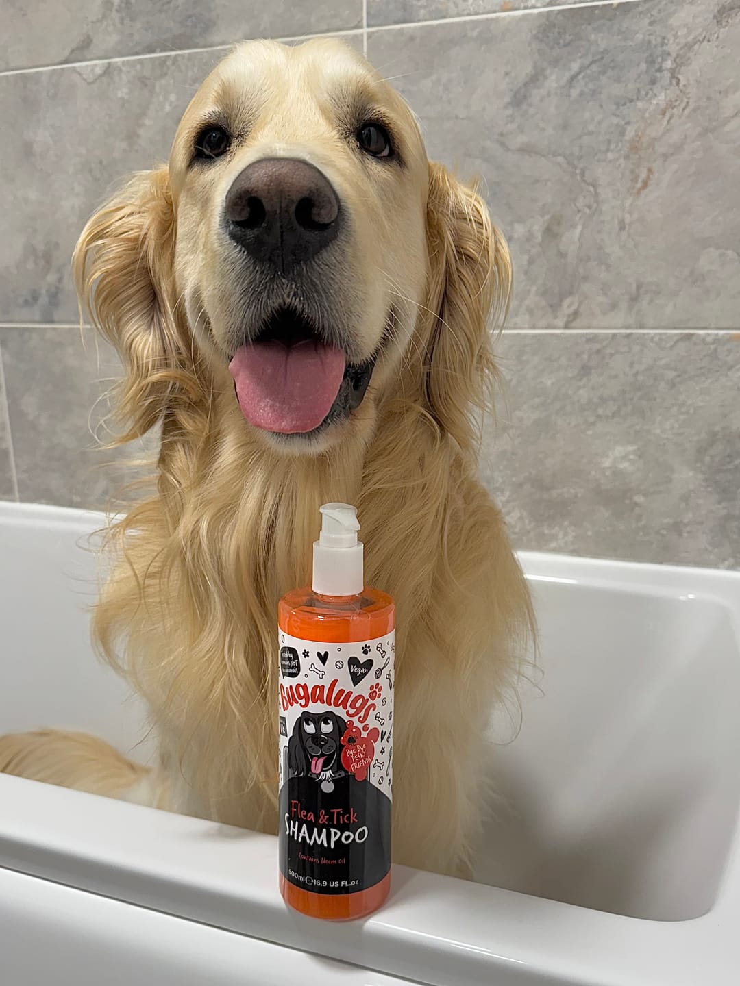 Customer photo review of Flea and Tick Dog Shampoo with Neem Oil