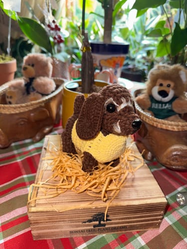 Customer photo review of Dolly® - Custom Pet Crochet