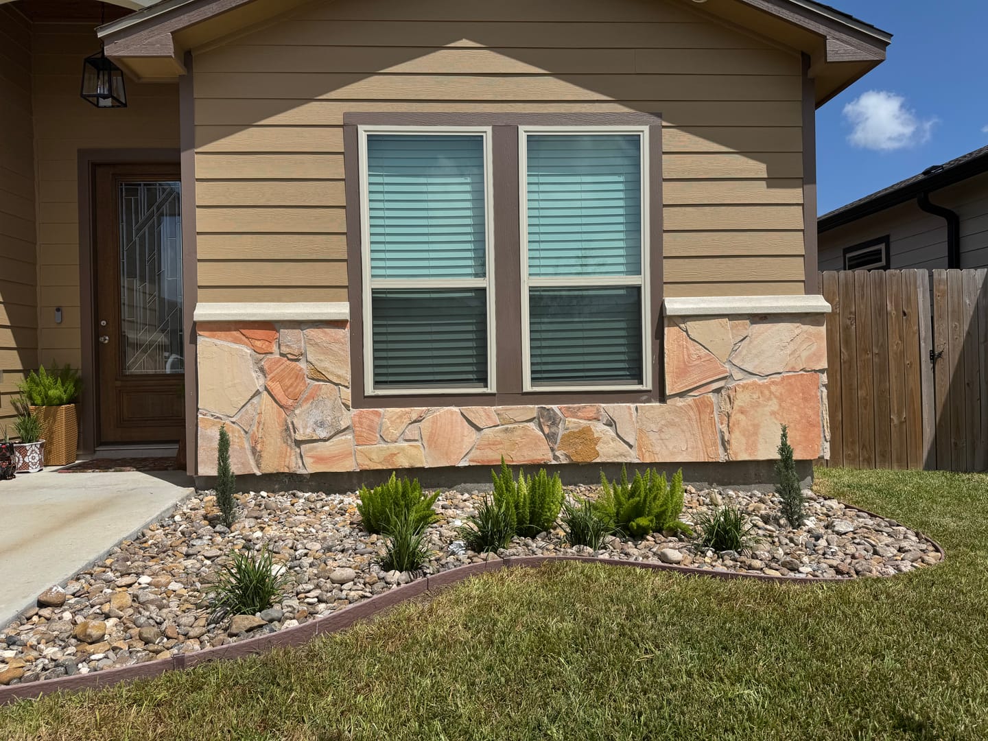 Customer photo review of Dwarf Italian Cypress, Mediterranean Cypress