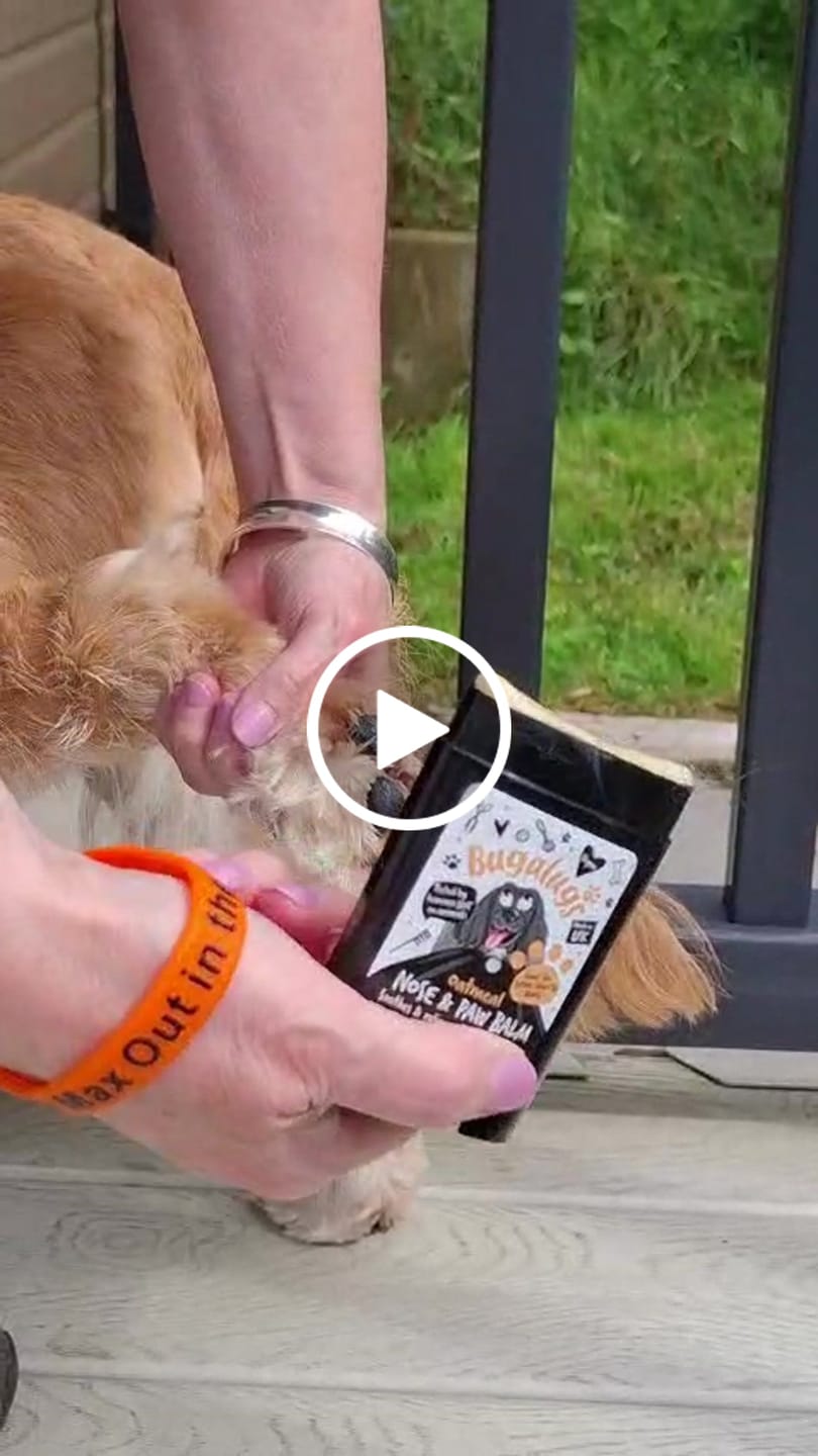 Customer video review of Oatmeal Nose & Paw Balm Stick for Dogs