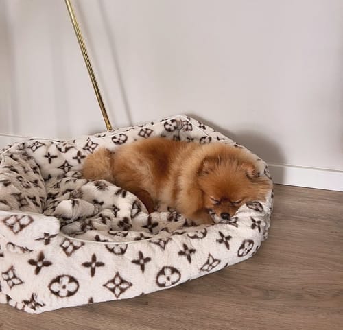 Customer photo review of LOUINA COZY DOG BED