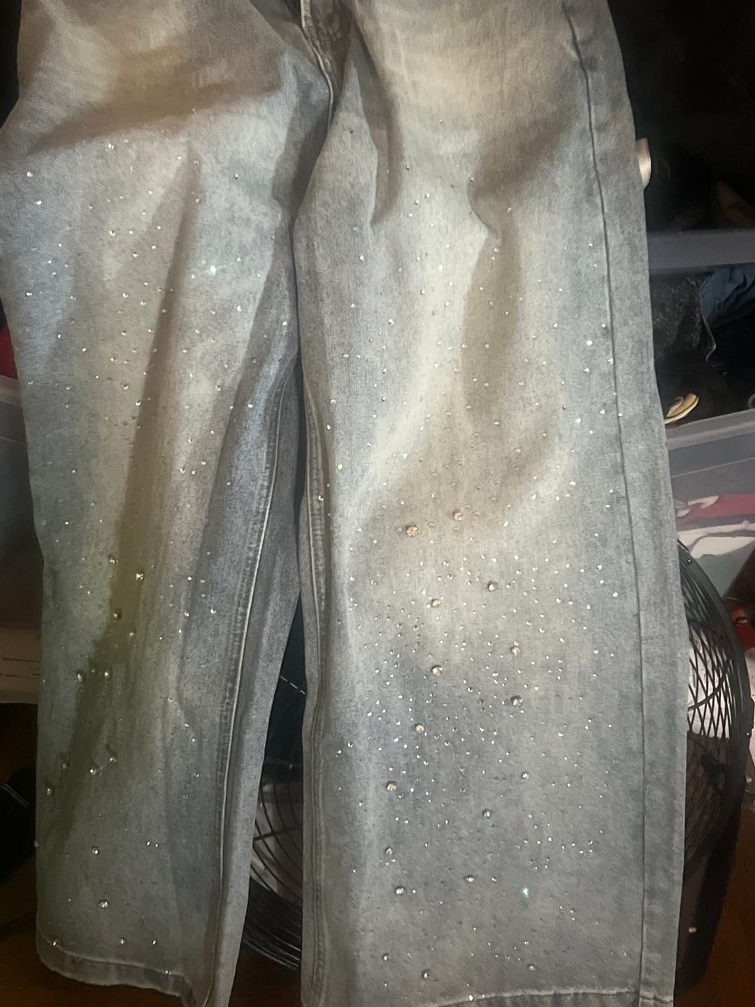 Customer photo review of Aelfric Eden Rhinestone Baggy Jeans