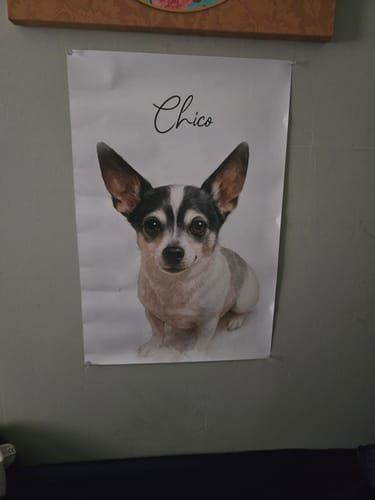 Customer photo review of Custom Watercolor Portraits Using Pet Photo Personalized Poster, Gift for Dogs Cats Lovers, Pet Lover Gift