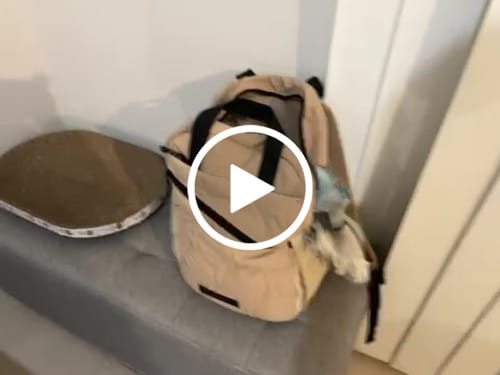 Customer video review of Paz 23L Work Backpack