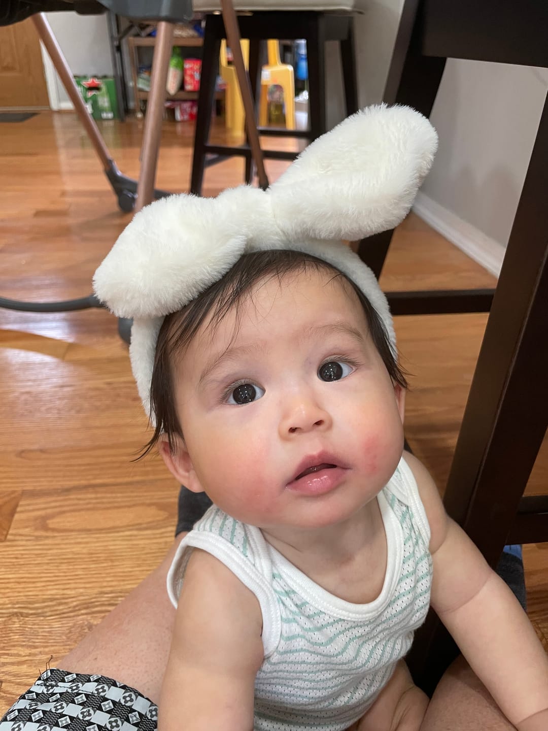 Customer photo review of Hegen Nipple Fast Flow, 2-Pack (6 months and beyond)