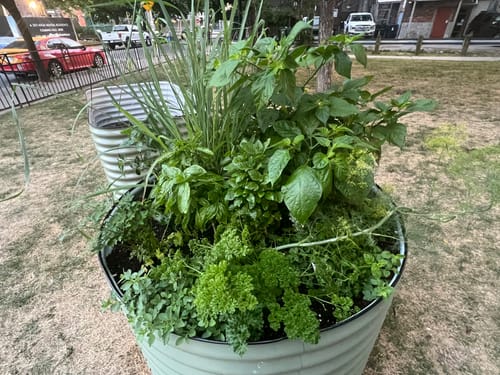 Customer photo review of 32" Tall Modular 9 in 1