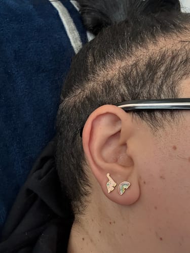 Customer photo review of Pastel Dinos