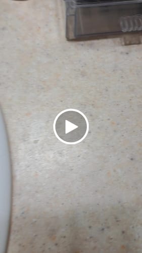 Customer photo review of Green Tea (Matcha) & Enzyme Powder Wash