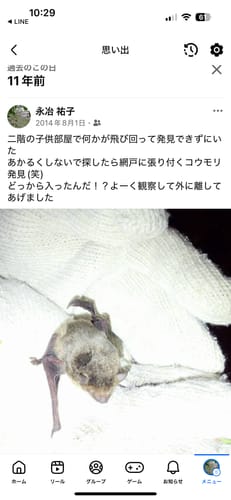 Customer photo review of FunFunPet 高機能ハーネス（お名前タグ作成サービス付き）