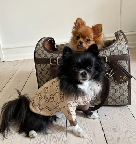 Customer photo review of GG BAG (3-5 days to send out)