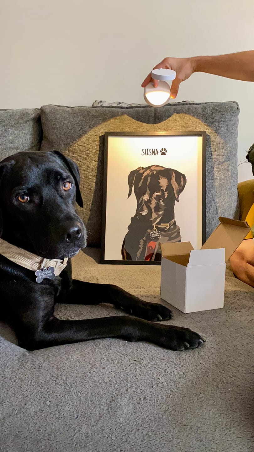 Customer photo review of Quadro Retrato Colorido (1 Animal)