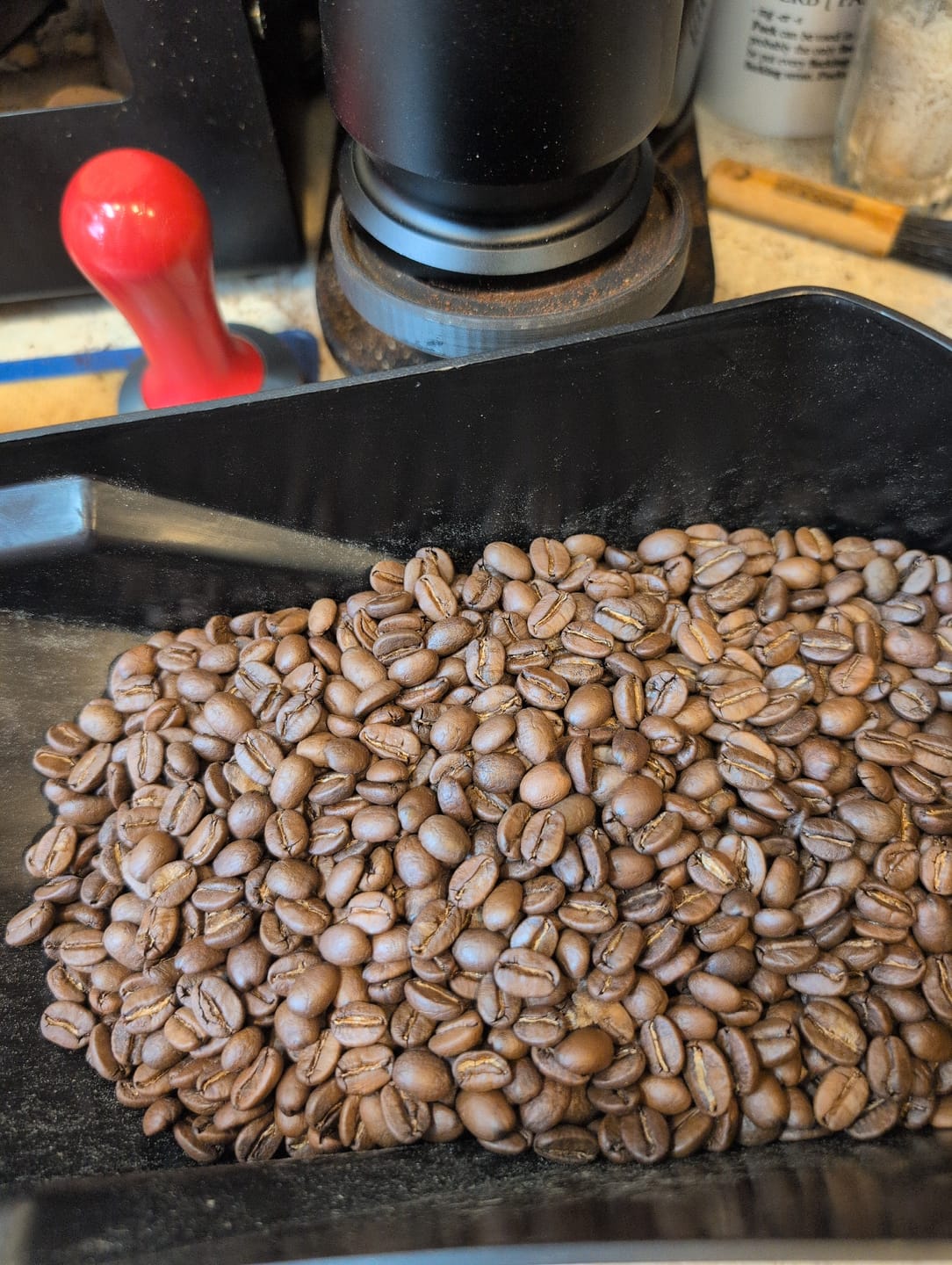 Customer photo review of Honduras Comayagua Santa Lucia Reserve Organic