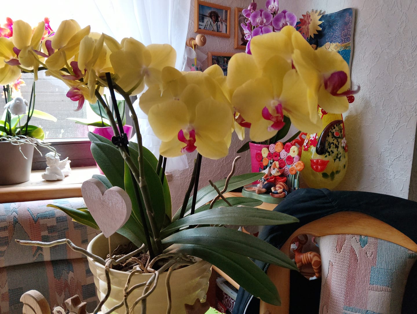 Customer photo review of Table Dance Lima mit gelb-gestreiften Blüten und 2 Rispen