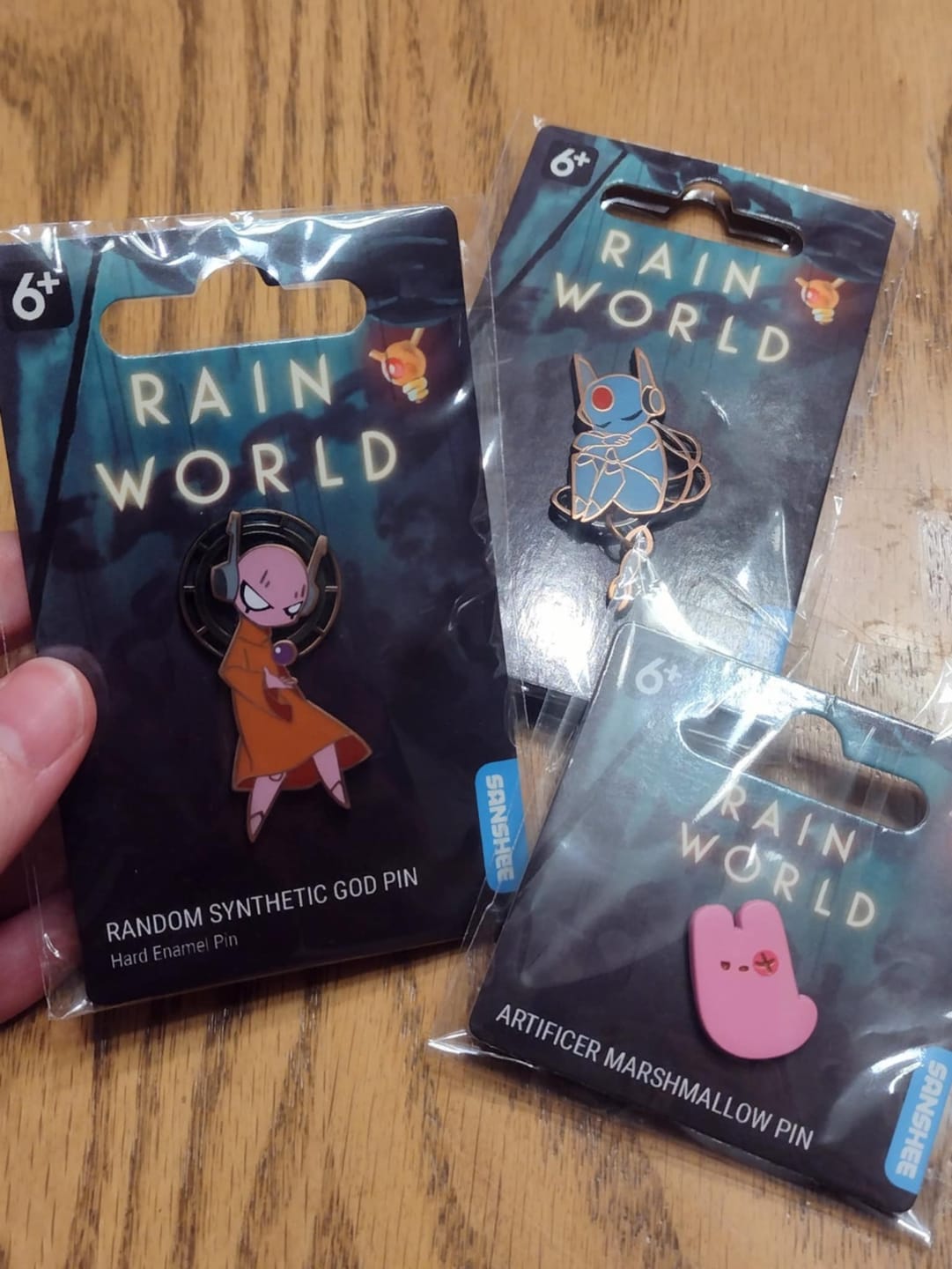 Customer photo review of Rain World - Random Synthetic God Pin