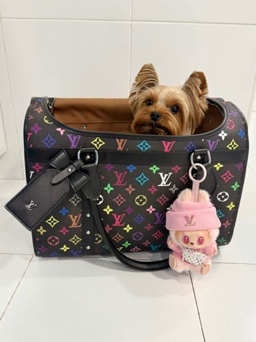 Customer photo review of LOUINZKA BAG