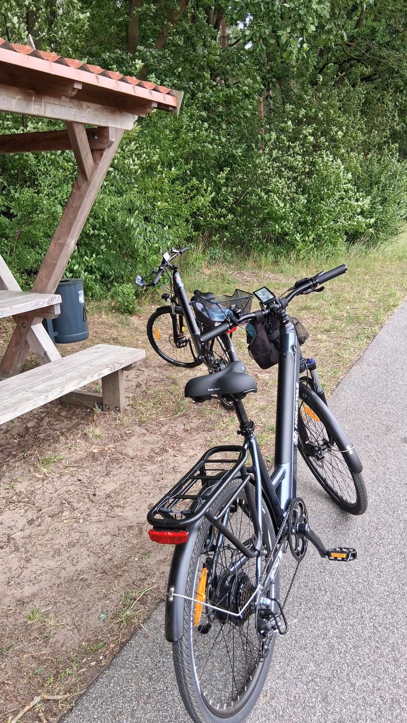 Customer photo review of Molicycle R1 250W 26" Electric Trekking Bike 532Wh City E-bike with Torque Sensor 14.5Ah Support APP