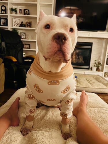 Customer photo review of The Dogtrovert™ Bag (Free gift)