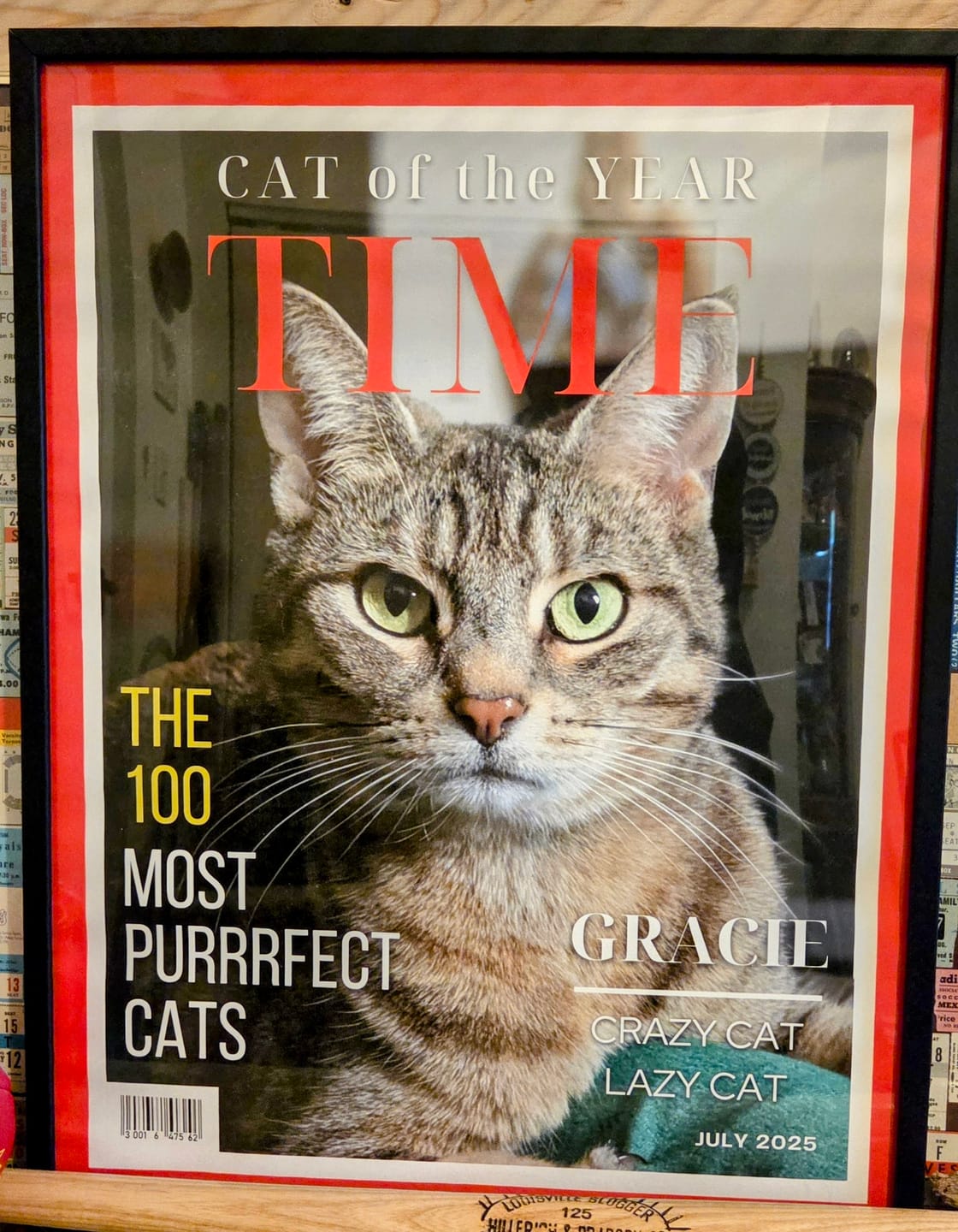 Customer photo review of Pet Portrait Magazine Cover