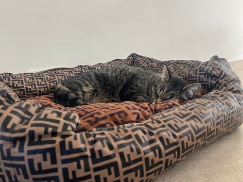Customer photo review of 2 -SIDE FELLO Luxury Dog Flannel Mat