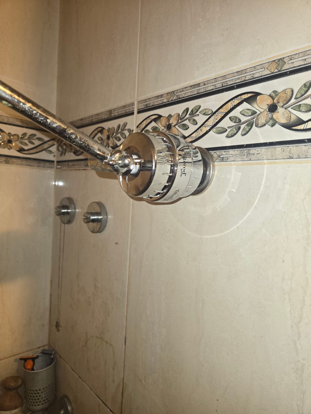 Customer photo review of Shower Purifier - Silver