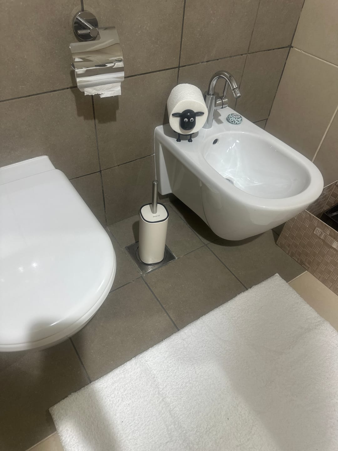 Customer photo review of Cream Toilet Brush With Holder - 34054P
