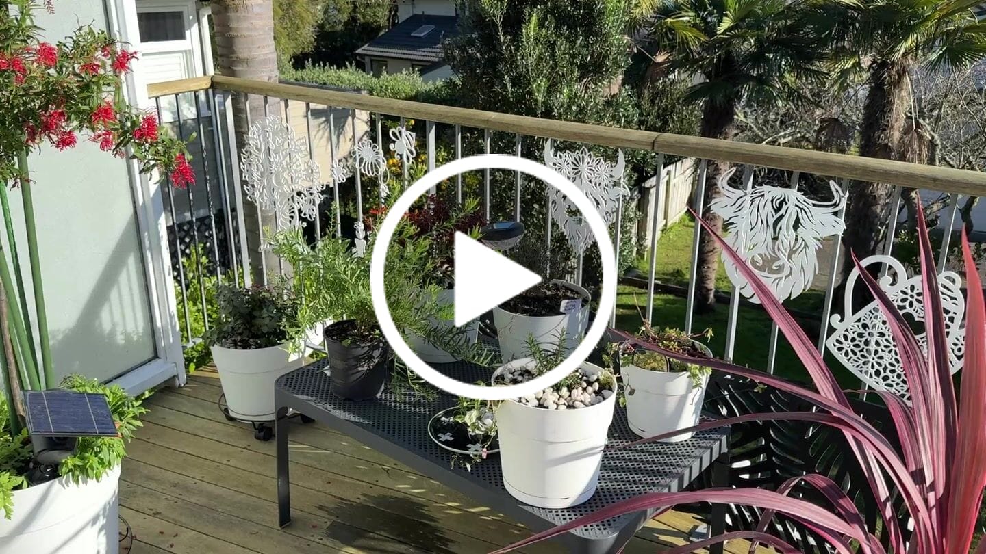 Customer video review of Floral Bee Wall Art