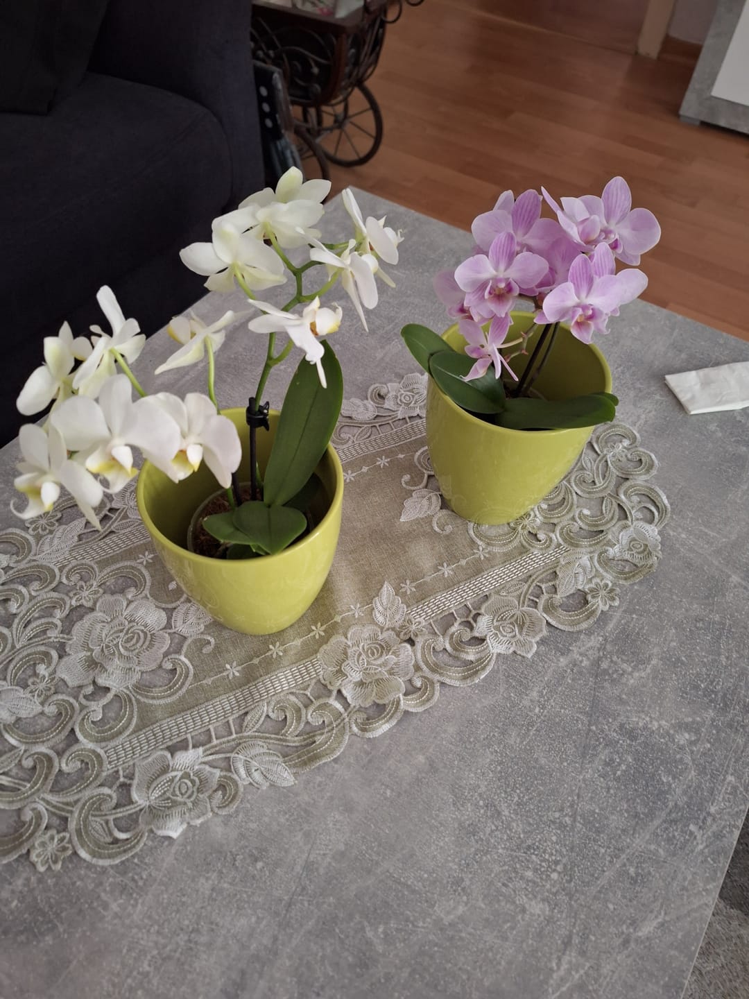 Customer photo review of Table Dance Weiß mit weißen Blüten und 2 Rispen