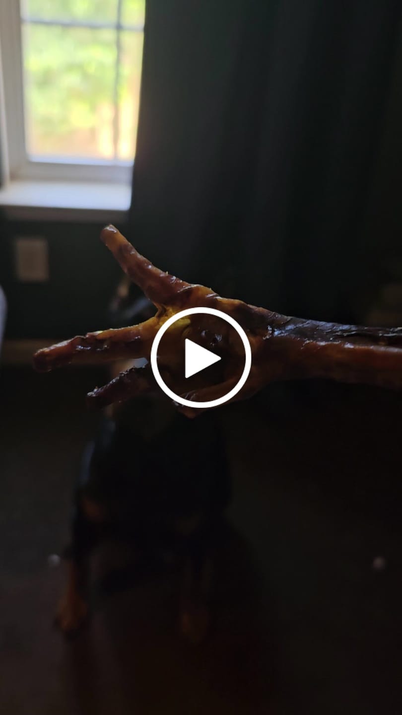Customer video review of Chicken Feet for Dogs