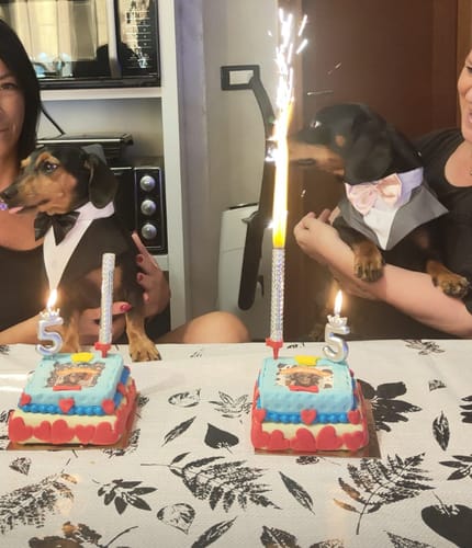 Customer photo review of Incanto per Lui Personalizzabile CON FOTO, Torta Per Cani Superiore