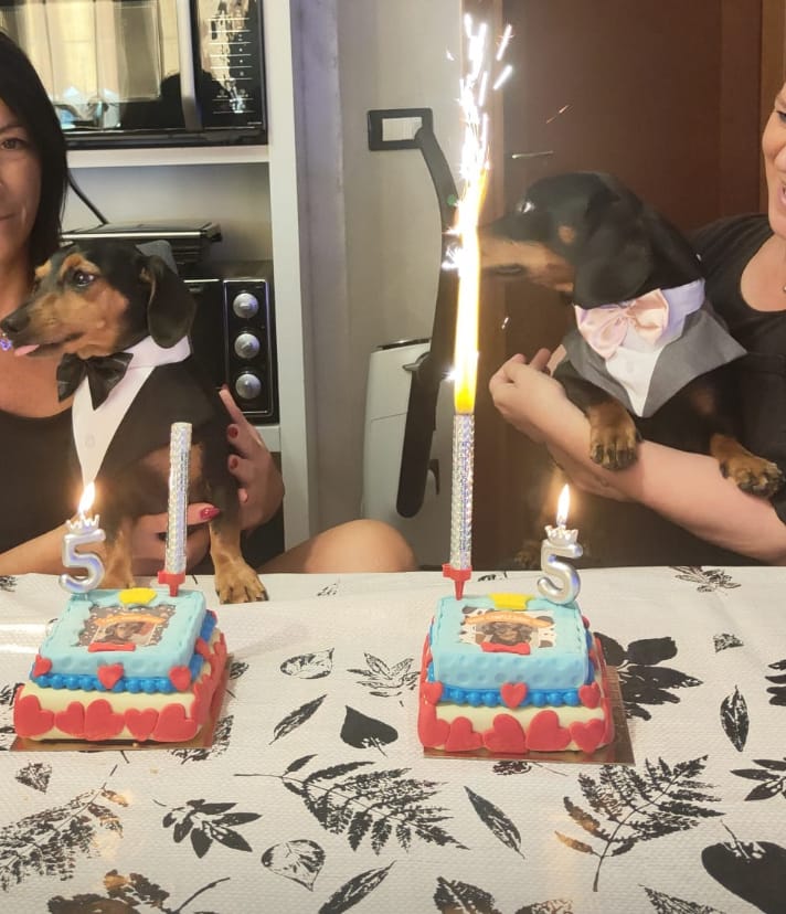 Customer photo review of Incanto per Lui Personalizzabile CON FOTO, Torta Per Cani Superiore